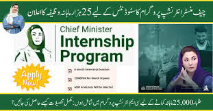Chief Minister Internship Program